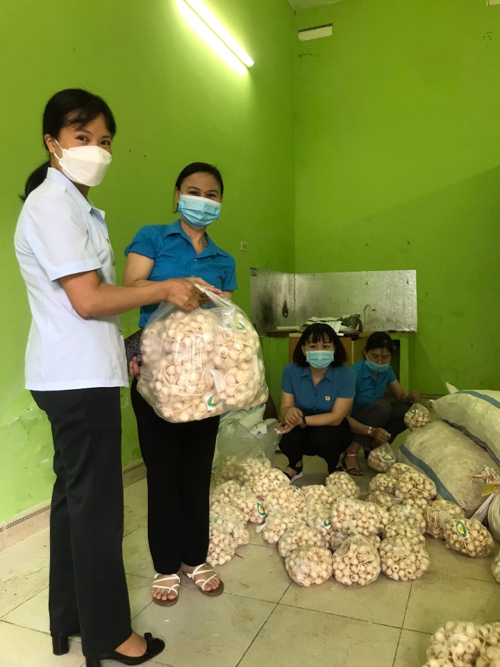 Công đoàn Viên chức tỉnh Ninh Bình phối hợp hỗ trợ tiêu thụ tỏi cho nông dân huyện Lý Sơn, Quảng Ngãi